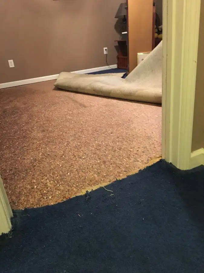 Carpet pad removal revealing water damage during Water Mitigation Services in Meadville