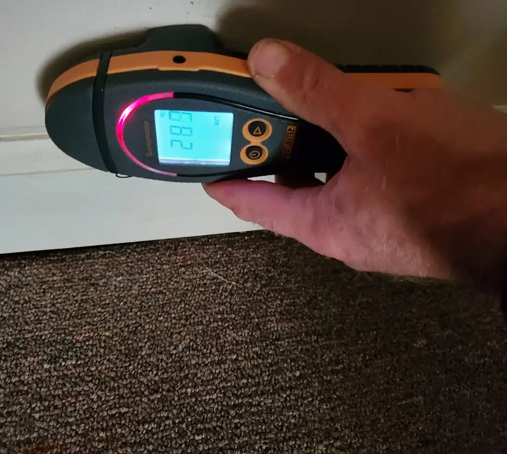 Moisture detection at baseboard during Sewage Cleanup & Sanitation in Meadville