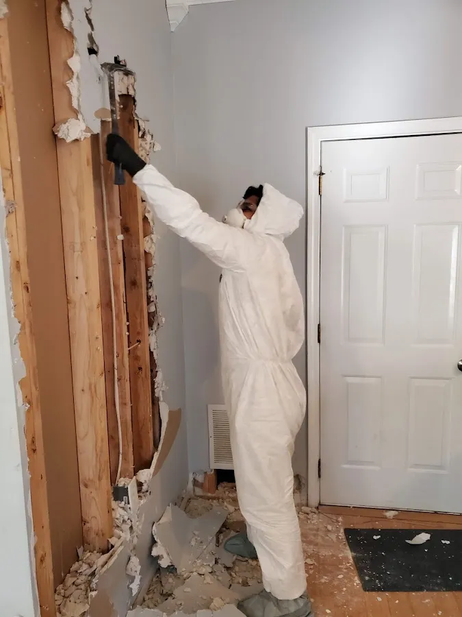 Mold Remediation & Removal in Meadville, PA